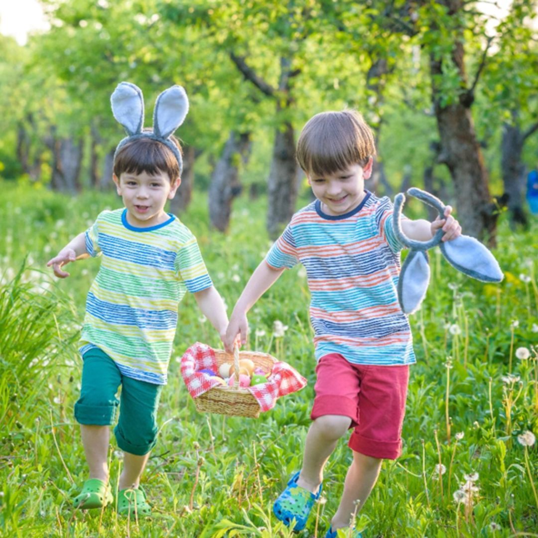 Easter www.cordiaapartments.com