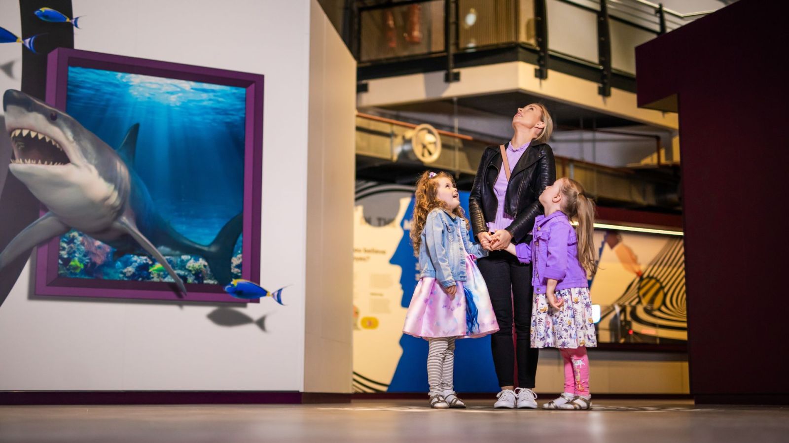 W interactive discovery centre belfast co antrim tidc www.cordiaapartments.com